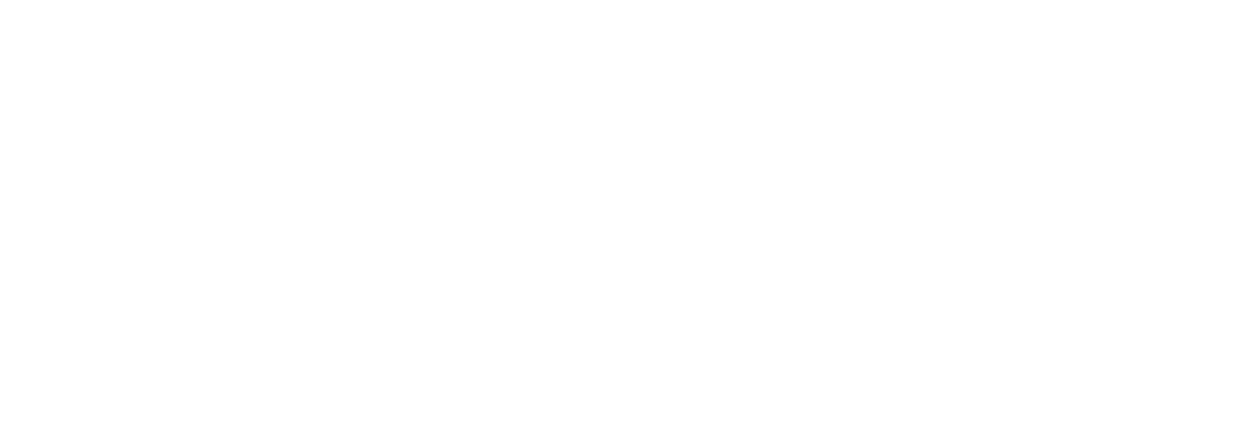 brand details logo