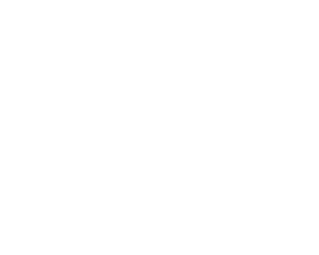 brand details logo